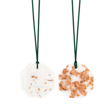 CEDAR BOTANICAL PALET