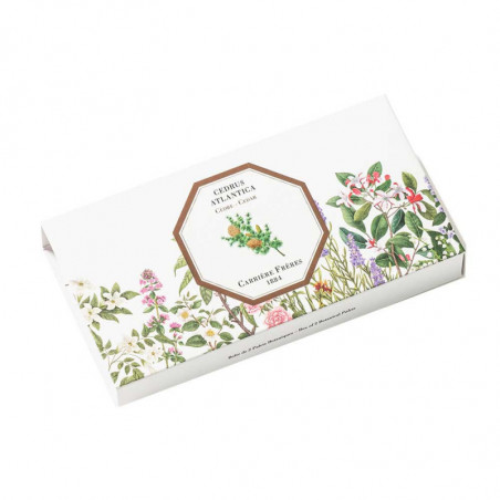 CEDAR BOTANICAL PALET