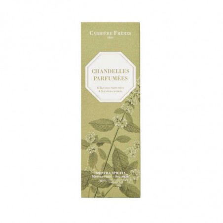 SPEARMINT SCENTED TAPER CANDLES