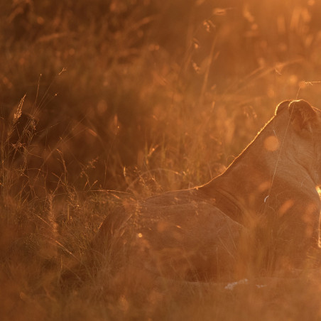 NEROLI NASIMBA EAU DE PARFUM