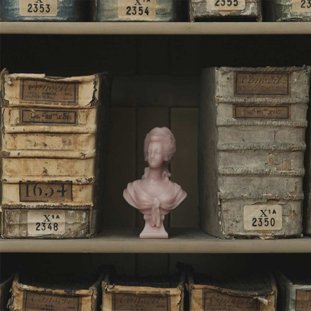 MARIE-ANTOINETTE BUST STONE