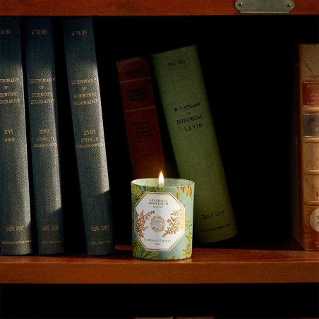 ABSINTHE SCENTED CANDLE REFILL