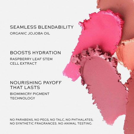 BABY CHEEKS BLUSH STICK