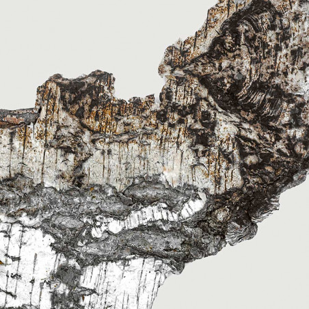 FALCON LEATHER EXTRAIT DE PARFUM