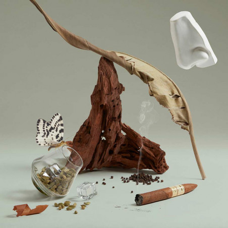 THE BLAZING MR SAM EAU DE PARFUM