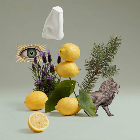 BLENHEIM EAU DE PARFUM