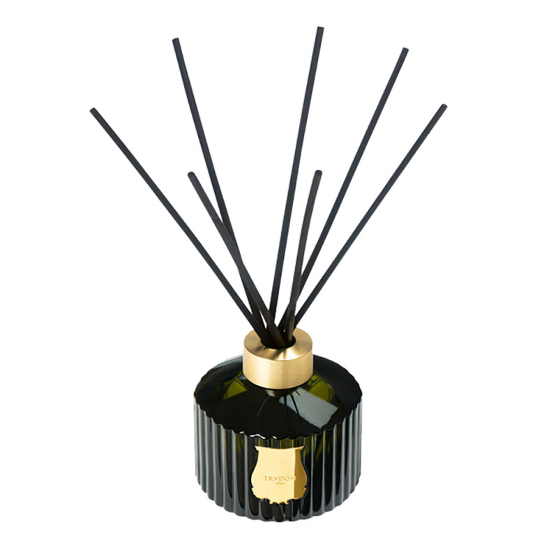 ERNESTO THE GREAT DIFFUSER