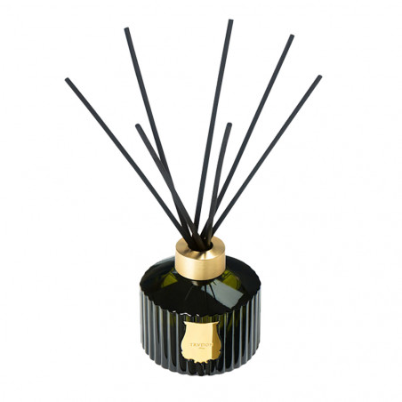 ERNESTO THE GREAT DIFFUSER