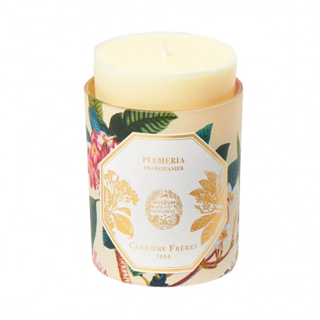 FRANGIPANI SCENTED CANDLE REFILL