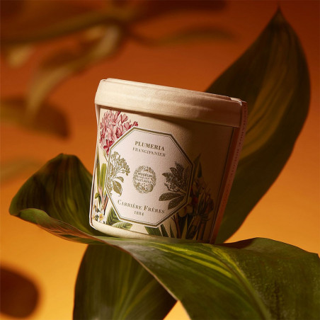 FRANGIPANI SCENTED CANDLE REFILL
