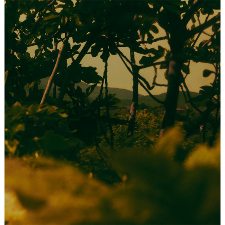 VIRERE EAU DE PARFUM