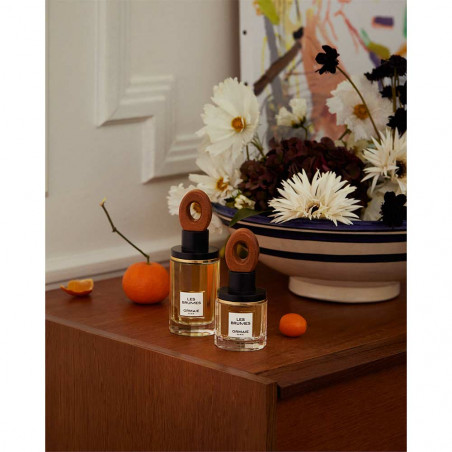 LES BRUMES EAU DE PARFUM