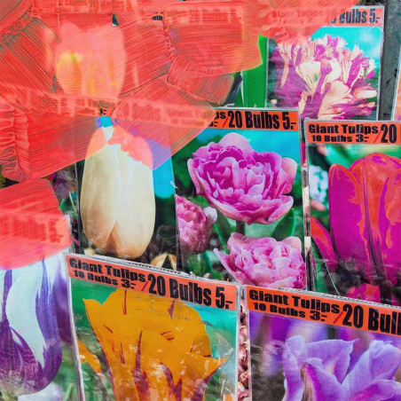 LA TULIPE EAU DE PARFUM