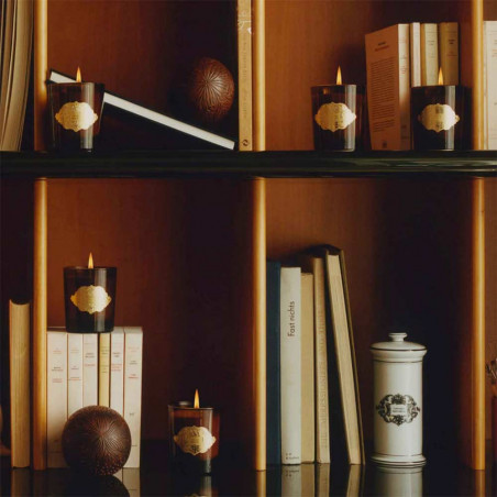 THE FIGUE SCENTED CANDLE