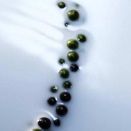 BLANCHE ABSOLU EAU DE PARFUM