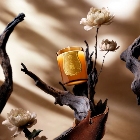 ALTAIR SCENTED CANDLE 2.8Kg