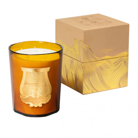 ALTAIR SCENTED CANDLE 2.8Kg