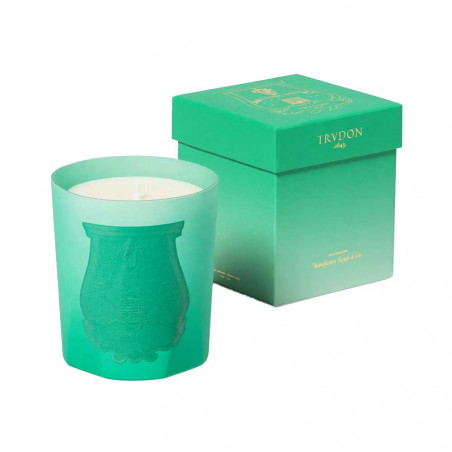 UNDER THE TREES SCENTED CANDLE 270g