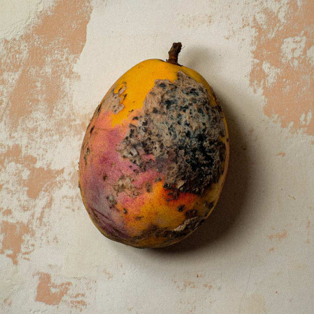 BLACK MANGO EXTRAIT EXTREME 50ml