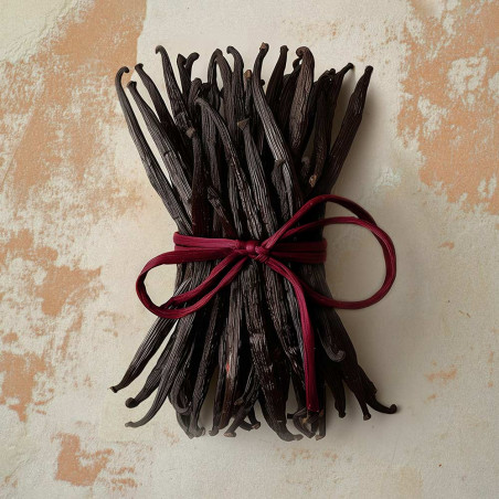 BLACK MANGO EXTRAIT EXTREME 50ml