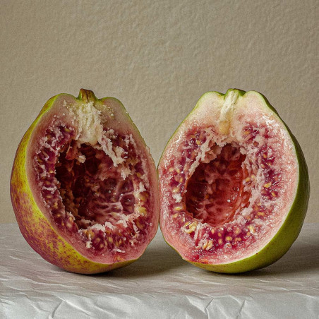 BLACK GUAVA EXTRAIT EXTREME 50ml