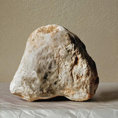 BLACK GUAVA EXTRAIT EXTREME 50ml