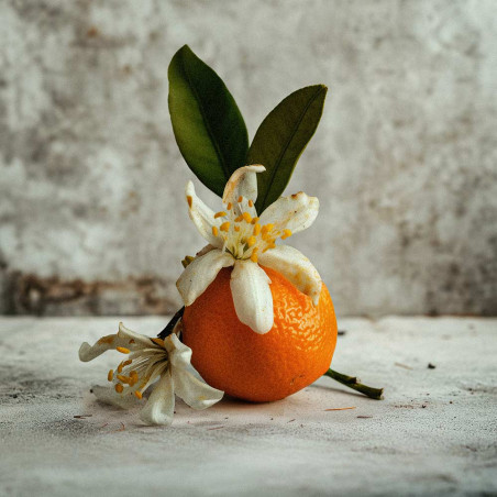 PURPLE STAIN EXTRAIT EXTREME 50ml