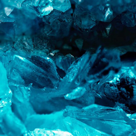 THE RENEWAL OIL EXFOLIATOR