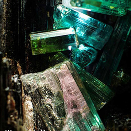 THE CALMING LOTION CLEANSER