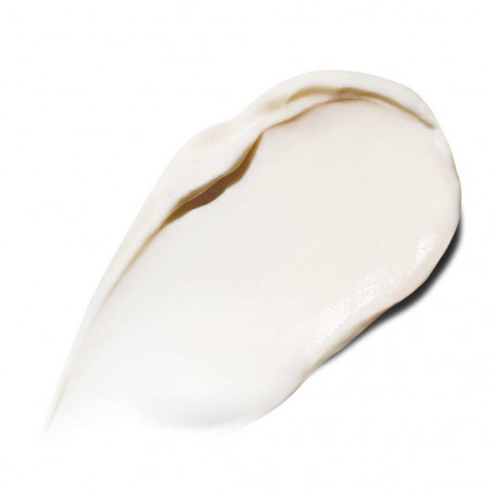 THE REJUVENATING NIGHT CREAM