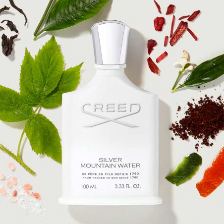 SILVER MOUNTAIN WATER EDP 100ml