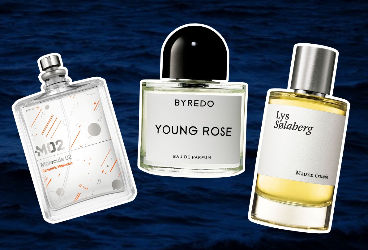 Ambergris – The Ocean's Hidden Gem